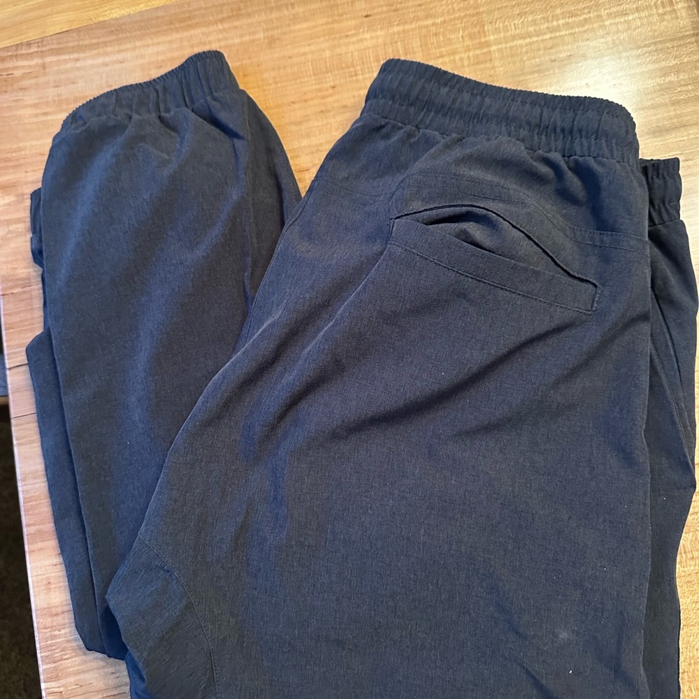 Albion Grey Jettsetter Joggers